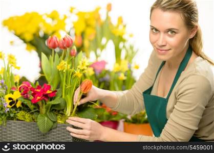 Florist arrange spring flower potted colorful plants decoration