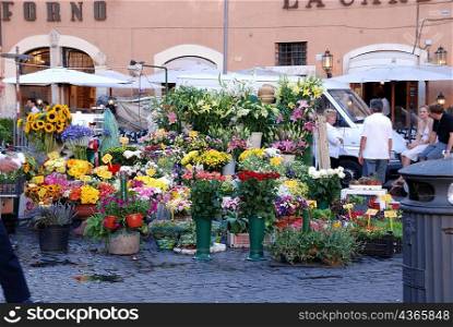 Florist market stall in plaza, rome