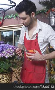 Florist stands cutting hydrangea