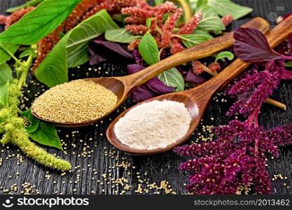 Flour and seeds amaranth in two spoons, brown, green and purple flowers and leaves of a plant on dark wooden board background