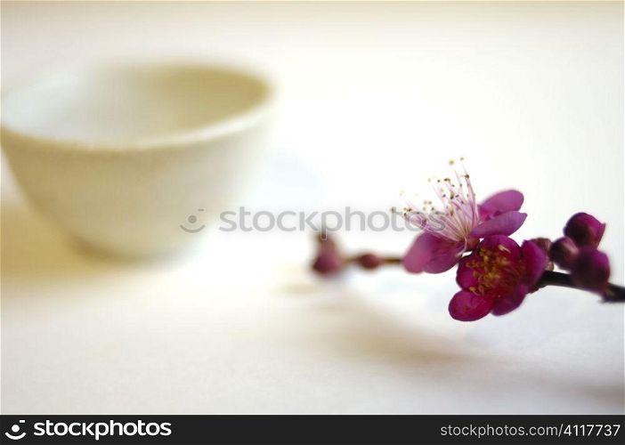 Flower and bowl