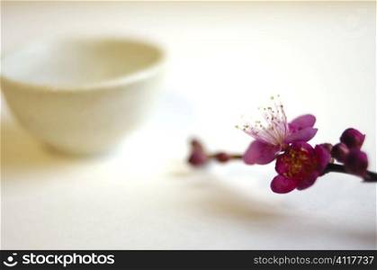 Flower and bowl