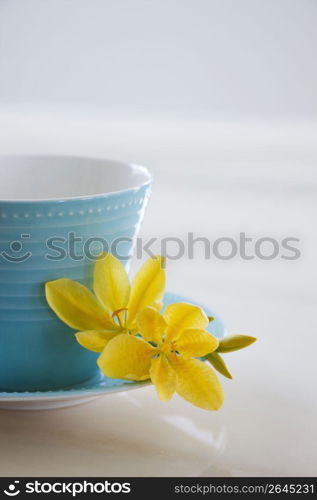 Flower and cup