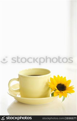 Flower and cup