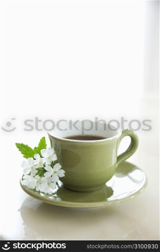 Flower and cup