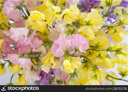 Flower arrangement