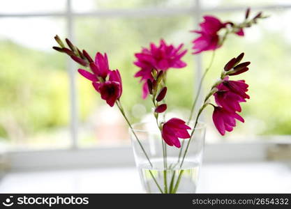 Flower arrangement