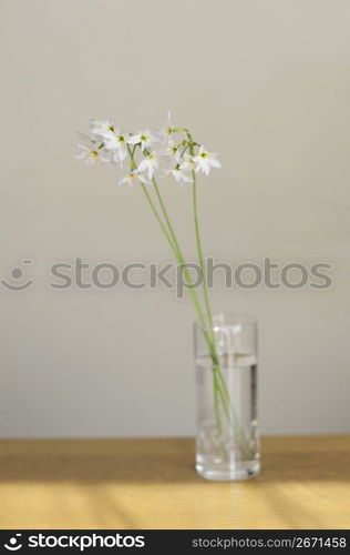 Flower arrangement