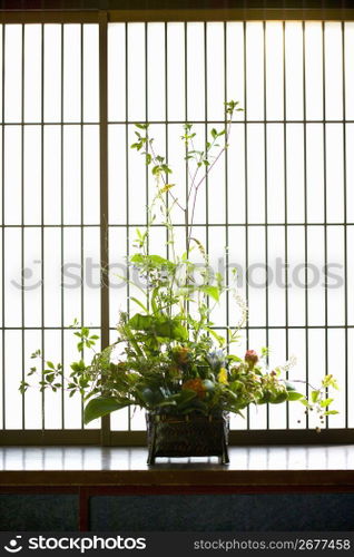 Flower arrangement