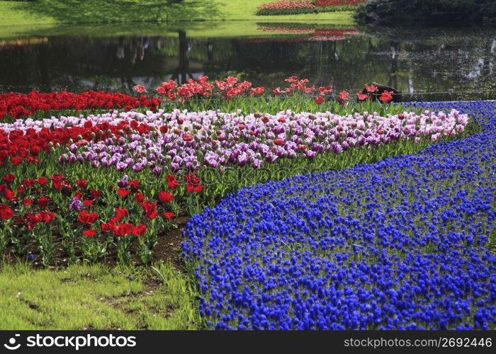 Flower arrangement