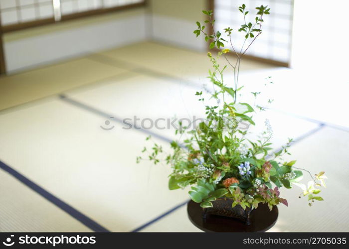 Flower arrangement