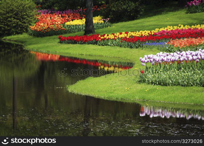 Flower arrangement