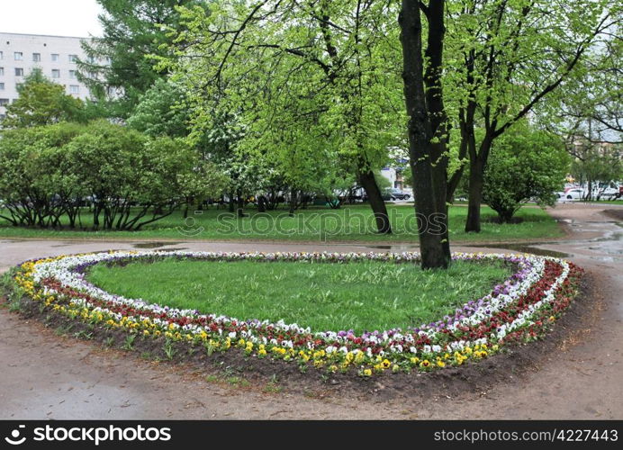 Flower bed in a city park spring rain. Flower bed