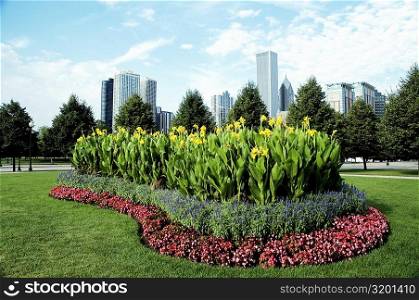 Flower bed in a park, Gateway Park, Chicago, Illinois, USA
