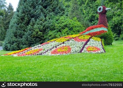flower bed in the form of figures peacock