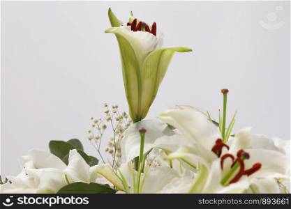 Flower bouquet background. Lily on gray.