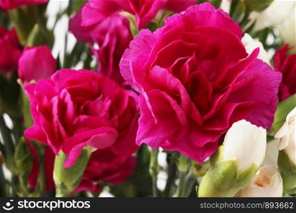 Flower bouquet background. Red and white Carnations.