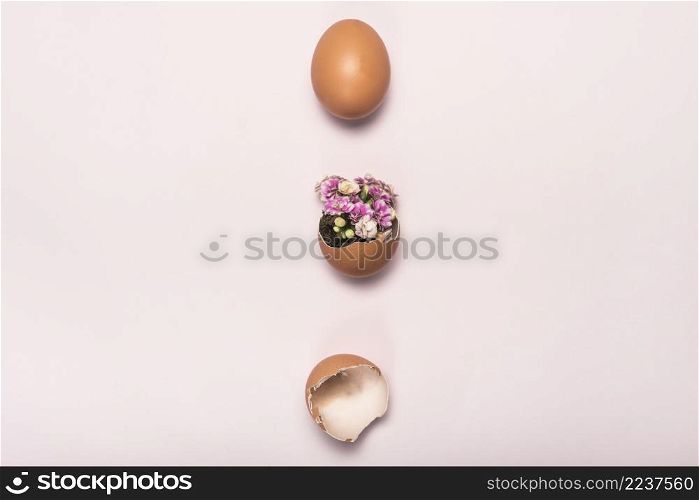 flower broken egg pink table