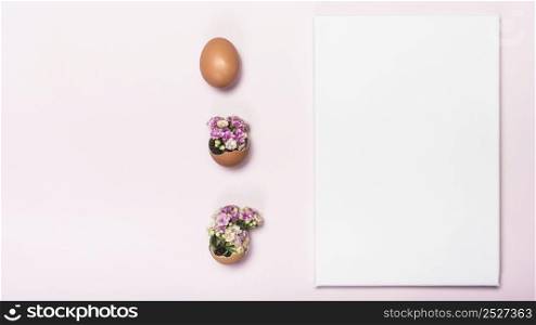 flower broken egg with paper