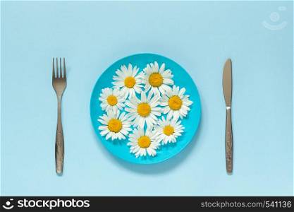 Flower chamomile daisy on blue plate and cutlery fork knife on blue paper background Concept vegetarianism healthy eating or diet Creative top view Copy space template for lettering text or your design.. Flower chamomile daisy on blue plate and cutlery fork knife on blue paper background Concept vegetarianism, healthy eating or diet Creative top view Copy space template for lettering text or design