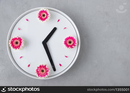 Flower clock flat lay. Spring time background.Creative arrangement of white clock created from fresh pink gerbera flowers on light concrete background, free space.