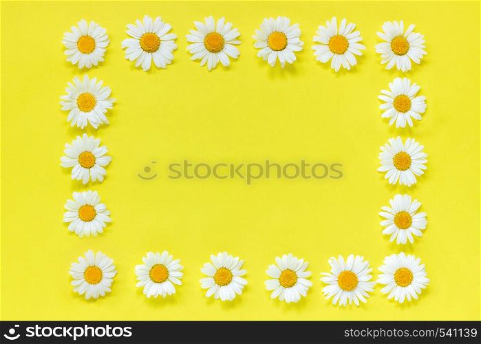 Flower composition. Frame floral rectangle wreath of flowers chamomile on yellow background. Flat lay Crearive top view. Top-down composition. Copy space Mock up Template for postcard, lettering text or your design.. Flower composition. Frame floral rectangle wreath of flowers chamomile. Flat lay Crearive top view. Top-down composition. Copy space Mock up Template for postcard, lettering text or your design