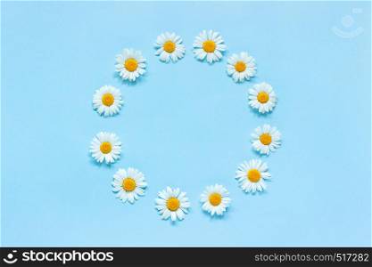 Flower composition. Frame floral round wreath of flowers chamomile on blue background. Mock up Top view.. Flower composition. Frame floral round wreath of flowers chamomile on blue background. Mock up Top view