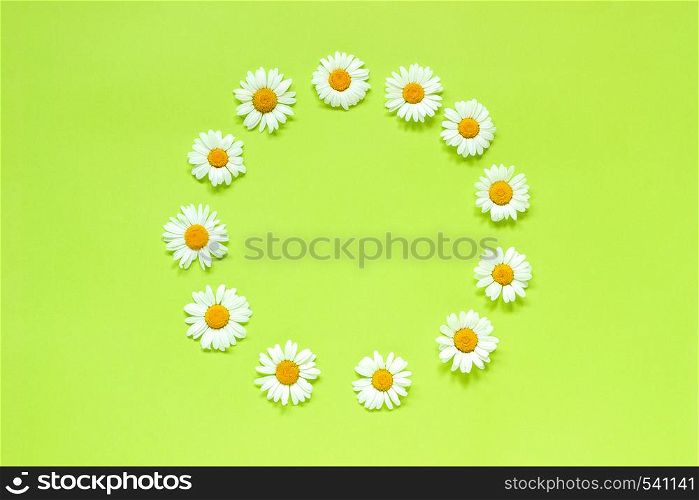 Flower composition. Frame floral round wreath of flowers chamomile on green background. Flat lay Crearive top view. Top-down composition. Copy space Mock up Template for postcard, lettering text or your design.. Flower composition. Frame floral round wreath of flowers chamomile. Flat lay Crearive top view. Top-down composition. Copy space Mock up Template for postcard, lettering text or your design