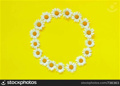 Flower composition. Frame floral round wreath of flowers chamomile on yellow background. Top-down composition.. Flower composition. Frame floral round wreath of flowers chamomile on yellow background. Top-down composition