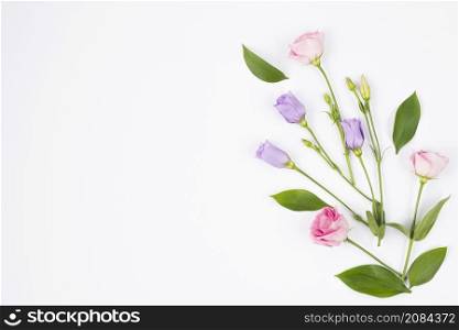 flower composition pastel colours