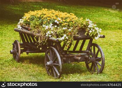 Flower Country Wagon On Green Grass