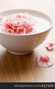 flower floating in white bowl. spa background