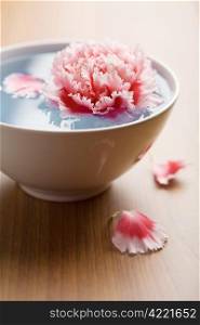 flower floating in white bowl. spa background