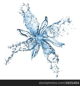 flower from water splashes isolated on white