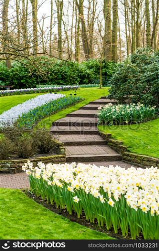 flower garden with blooming