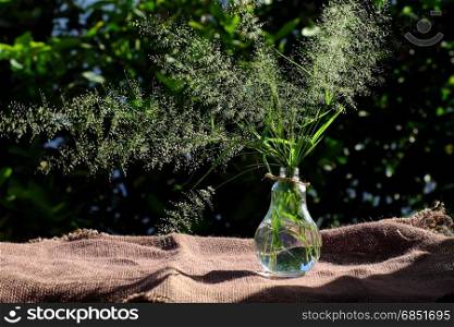 Flower grass jar in wind blow at evening sun make feeling and calm, wild tiny flowers on green natural background in garden
