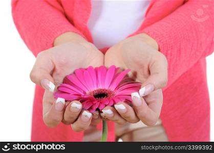 flower in female hands. Isolated on white background