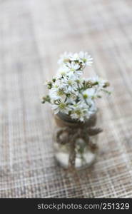 flower in jar