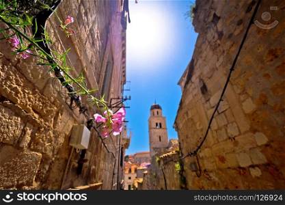 Flower in narrow Dubrovnik stone street view, Dalmatia region of Croatia