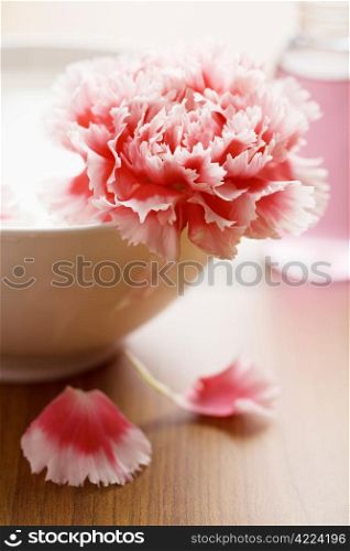 flower in white bowl and bottle of oil. spa and body care background