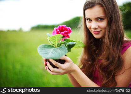 flower in woman hands close up