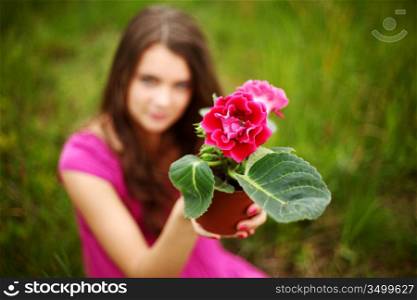 flower in woman hands close up