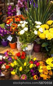 flower market - beautiful fresh flowers in vases for sale