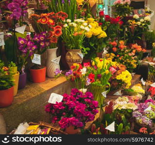 flower market - beautiful fresh flowers in vases for sale. The flower market