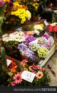 flower market - beautiful fresh hydrangea flowers in vases for sale