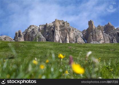Flower meadow with mountain flowers in front of mountains typical of the Dolomites