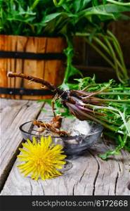 flower of dandelion and its root is harvested for medicinal purposes. roots of dandelion flower