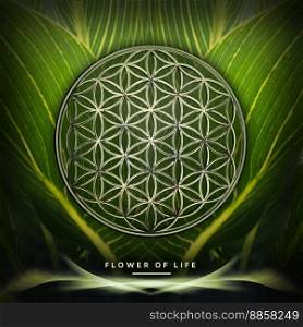 Flower Of Life on Canna Leafes Background