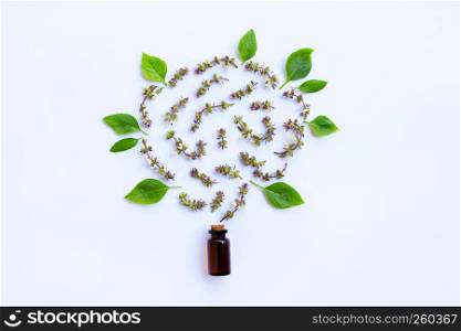 Flower of sweet basil and leave with drop bottle of essential oil herb on white background