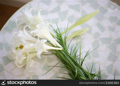 Flower on a dish